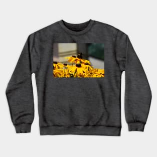 Bee on Rudbeckia Flowers Crewneck Sweatshirt